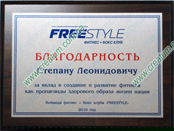 ������������� �� �������. FREESTYLE.
